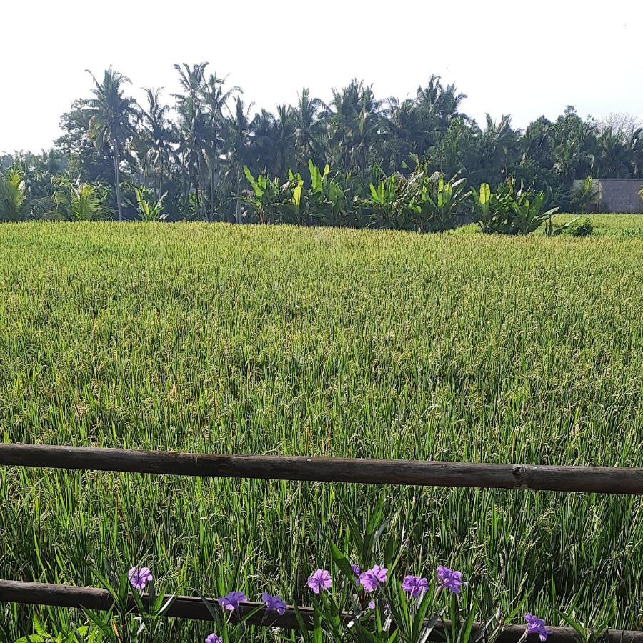 PB Pondok Gandalangu Garden House Bali Ubud  Bagian luar foto